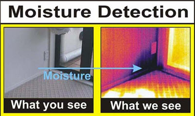Infrared & Its Purpose in the Inspection Industry 2 Infrared moisture detection