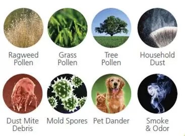Healthy Home Audit 1 ragweed pollen, grass pollen, tree pollen, household dust, dust mite debris, mold spores, pet dander, smoke and odor