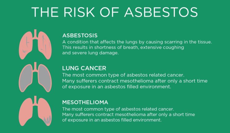 Why Should You Consider a Healthy Home Audit? 3 Conditions / Risk of Asbestos