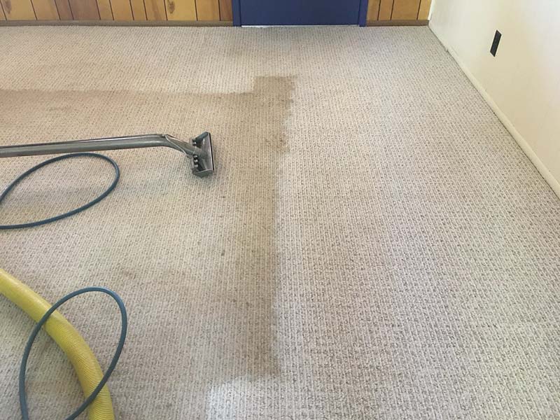 Dirty Carpet