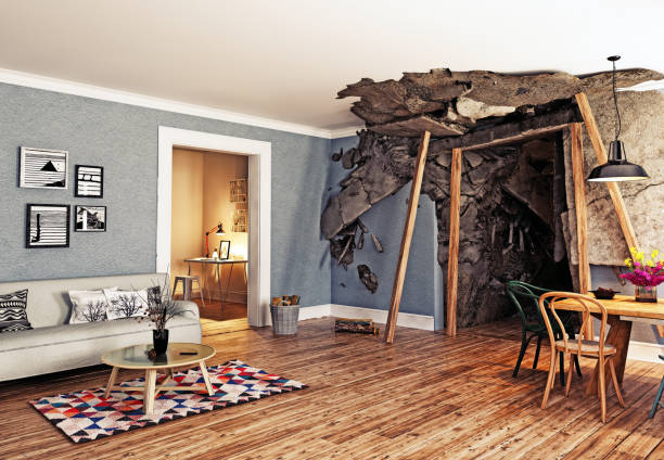 Caution When Purchasing a "Fully Renovated" Home 3 Flip1
