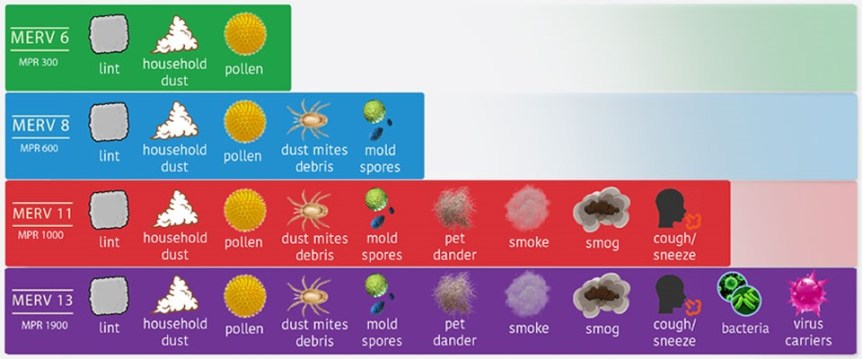 Allergies