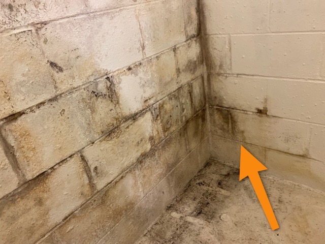 Moisture penetration Medium