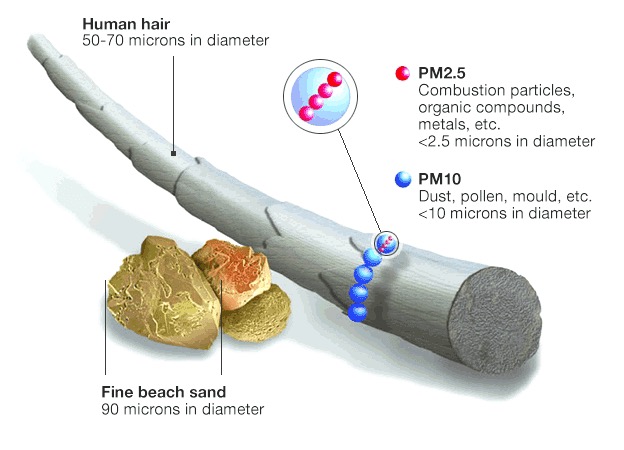 Air Quality Assessment 1 dust, pollen, mold and combustion particle sizes compated to human hair