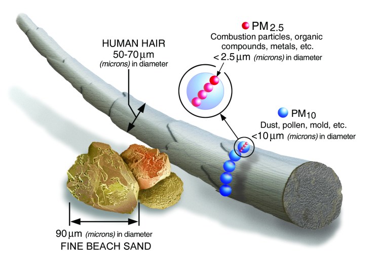 Why Should You Consider a Healthy Home Audit? 2 Particulate Matter Infographic