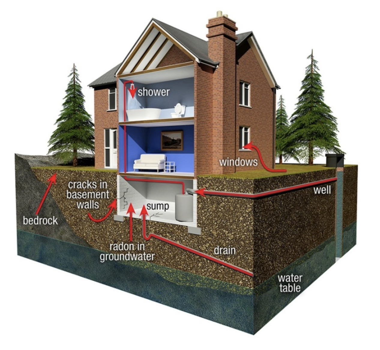 Radon Testing 2 diagram of how radon gas enters your home